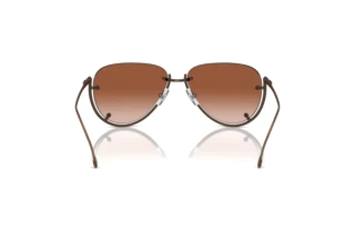 Rückansicht Diesel DL1003 (105/13)