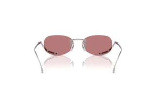 Rückansicht Diesel DL1004 (103/E4)