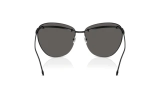 Rückansicht Diesel DL1007 (109/6G)