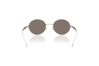 Rückansicht Diesel DL1008 (1001Z6)