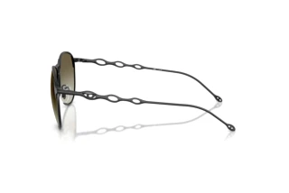 Seitenansicht Diesel DL1009 (10138E)