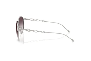 Seitenansicht Diesel DL1009 (101411)