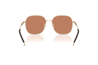 Rückansicht Diesel DL1010D (101173)