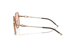 Seitenansicht Diesel DL1010D (103084)