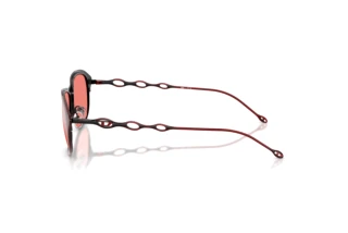 Seitenansicht Diesel DL1011 (10267E)