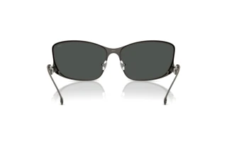 Rückansicht Diesel DL1013 (100987)