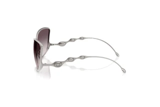 Seitenansicht Diesel DL1013 (101411)