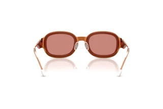 Rückansicht Diesel DL1020 (10467J)