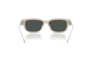 Rückansicht Diesel DL2002MU (201987)