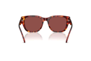 Rückansicht Diesel DL2005 (202375)