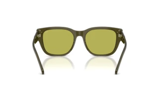 Rückansicht Diesel DL2005 (2024/2)