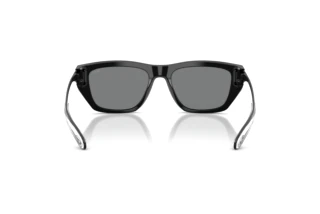 Rückansicht Diesel DL2006 (200187)