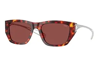 Diesel DL2006 202375 Dark VioletHavana Red