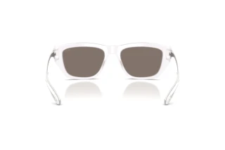 Rückansicht Diesel DL2006 (20286G)