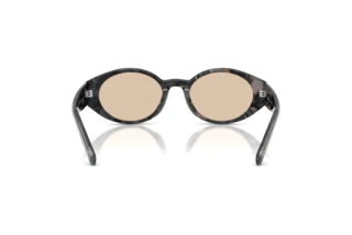 Rückansicht Diesel DL2008U (204193)