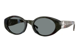 Vorderansicht Diesel DL2008U (2042/1)