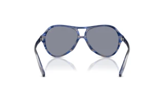 Rückansicht Diesel DL2013U (2037/1)