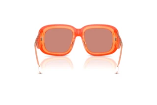 Rückansicht Diesel DL2015U (20477J)