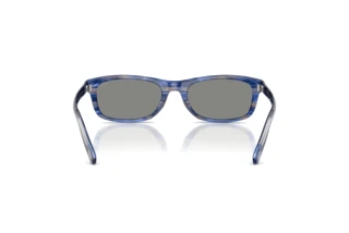 Rückansicht Diesel DL2018U (203787)