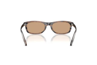 Rückansicht Diesel DL2018U (203963)