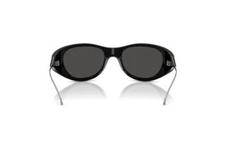 Rückansicht Diesel DL3003 (501/87)