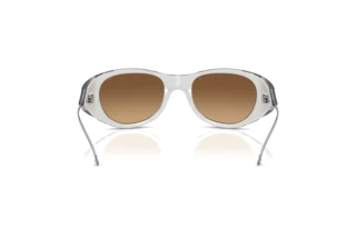 Rückansicht Diesel DL3003 (507/B8)