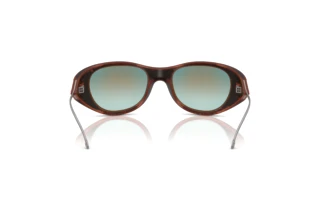 Rückansicht Diesel DL3003 (508/B6)