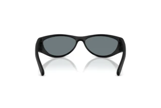 Rückansicht Diesel DL3004U (20026G)