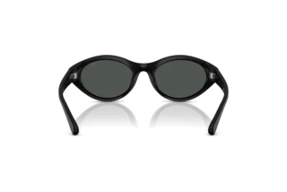 Rückansicht Diesel DL3005U (200287)