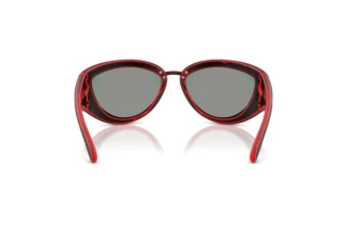 Rückansicht Diesel DL3007U (20096P)