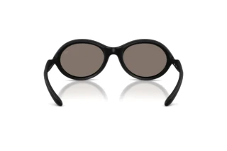 Rückansicht Diesel DL3009U (20026G)