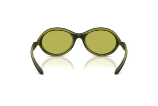 Rückansicht Diesel DL3009U (511/2)