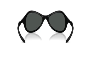 Rückansicht Diesel DL3010U (200287)