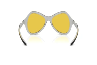 Rückansicht Diesel DL3010U (2030V9)