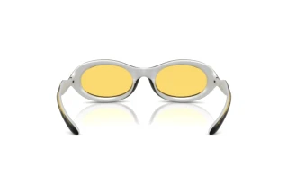 Rückansicht Diesel DL3011U (203085)