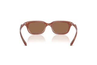 Rückansicht Diesel DL3013U (203373)