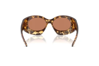 Rückansicht Diesel DL3014U (201373)