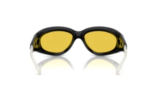 Rückansicht Diesel DL3015U (2001V9)