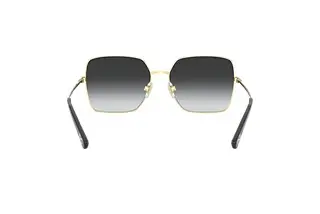 Rückansicht Dolce & Gabbana DG2242 (13348G)
