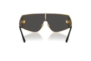 Rückansicht Dolce & Gabbana DG2305 (02/87)