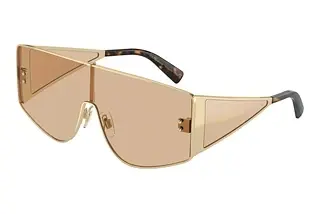 Dolce & Gabbana DG2305 13655A