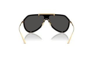 Rückansicht Dolce & Gabbana DG2309 (02/87)