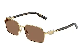 Dolce & Gabbana DG2316 02/73