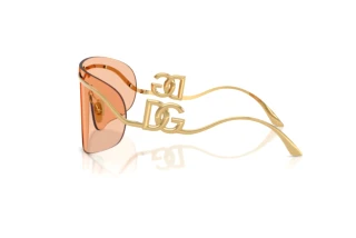 Seitenansicht Dolce & Gabbana DG2320 (02/73)