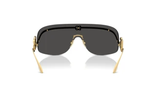 Rückansicht Dolce & Gabbana DG2320 (02/87)