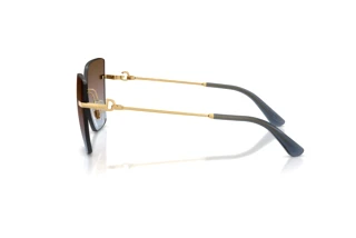 Seitenansicht Dolce & Gabbana DG2321 (02/48)