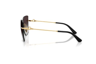 Seitenansicht Dolce & Gabbana DG2321 (02/8G)