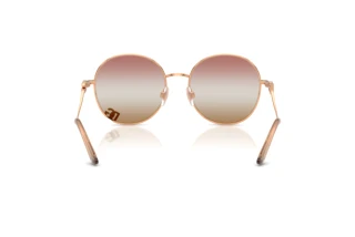 Rückansicht Dolce & Gabbana DG2324 (1298EL)