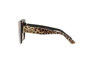 Seitenansicht Dolce & Gabbana DG4348 (316313)