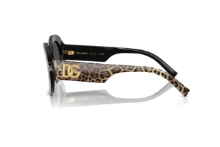 Seitenansicht Dolce & Gabbana DG4448 (316387)
